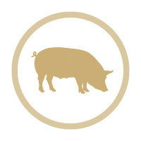 Alimentos procedentes de Cerdo