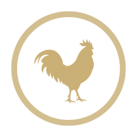 Alimentos procedentes de Pollo