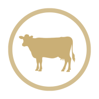 Alimentos procedentes de Vaca
