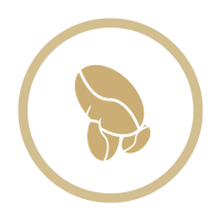 Botanas cacachuates